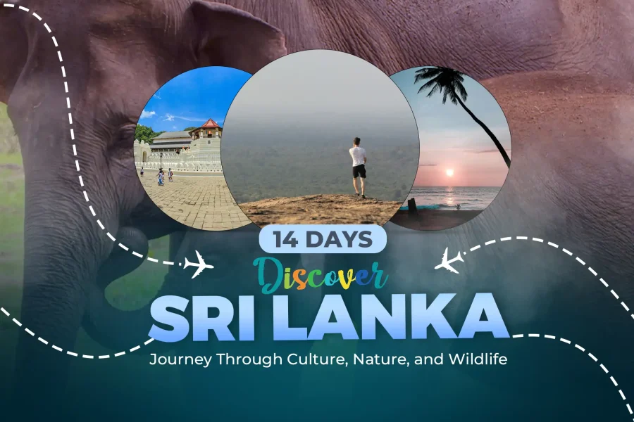 Discover Sri Lanka 14 Days Tour Featured CEYLTRA 2