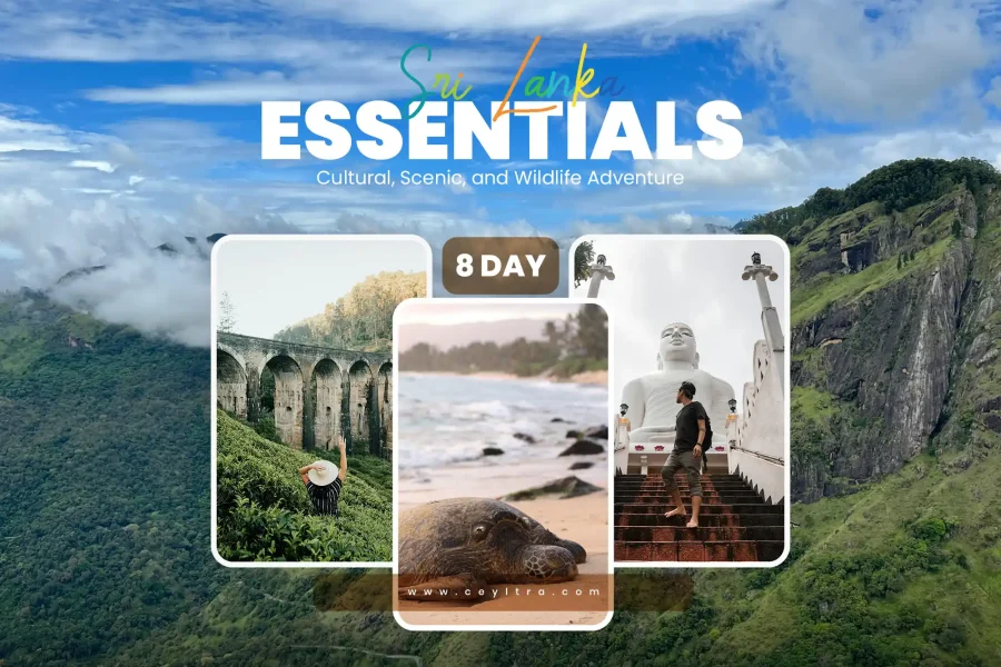 Sri Lanka Essentials 8 Days Tour Featured CEYLTRA