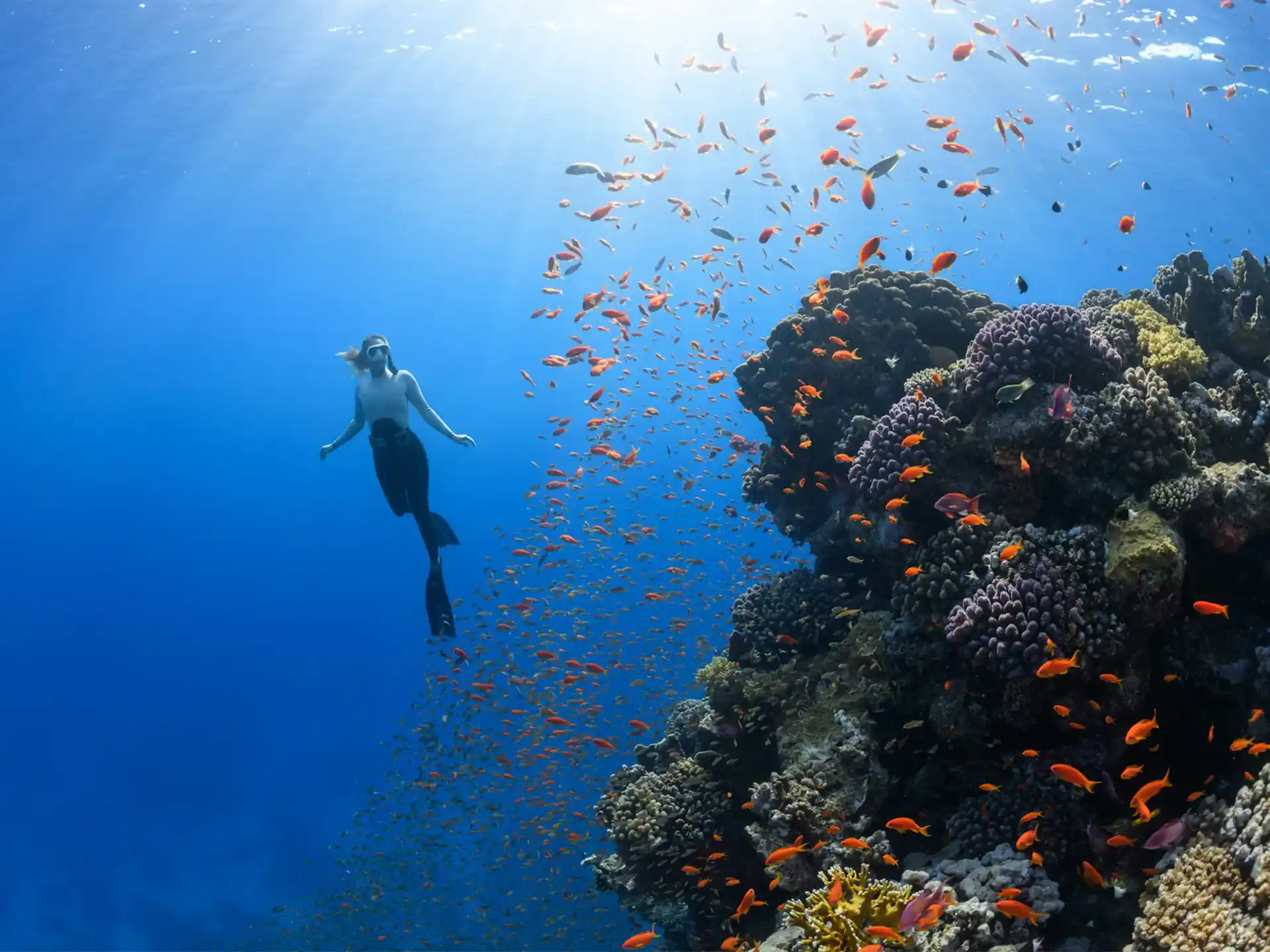 Diving-Activity-In-Sri-Lanka-Ceyltra7 v2